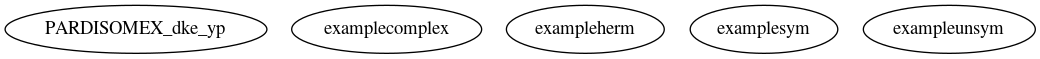 Dependency Graph for LUKE/Project_DKE/Packages/PARDISO